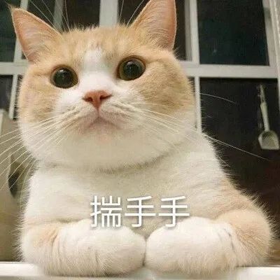 东莞有谁认识这个小女孩, 她要火了! 因为...