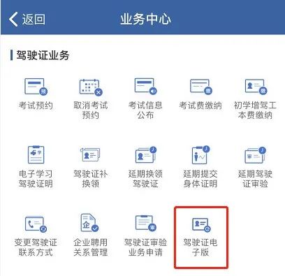 再见了,驾驶证!