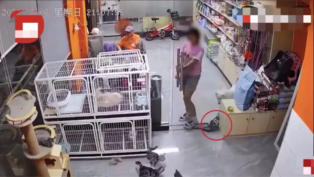东莞有谁认识这个小女孩, 她要火了! 因为...
