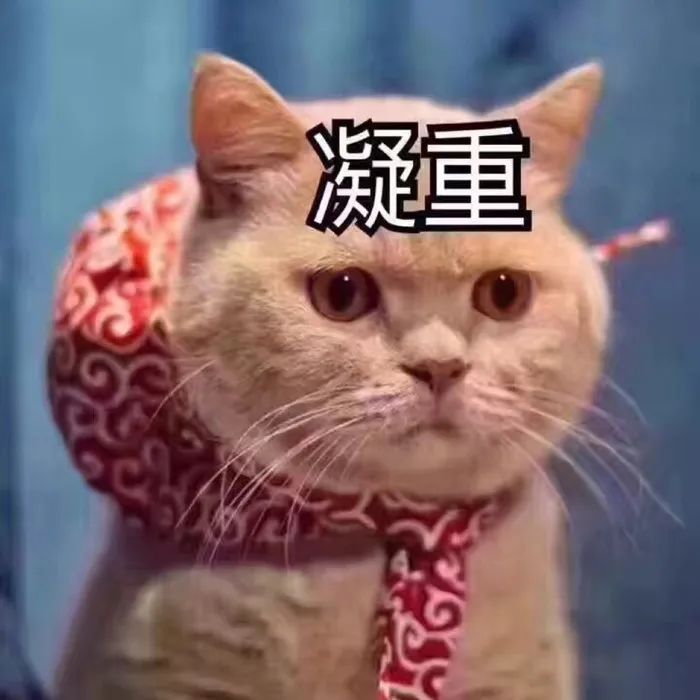 东莞有谁认识这个小女孩, 她要火了! 因为...
