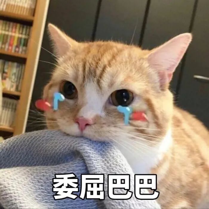 东莞有谁认识这个小女孩, 她要火了! 因为...