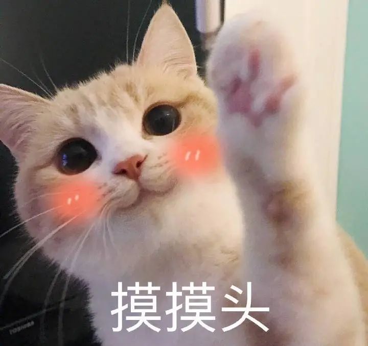 东莞有谁认识这个小女孩, 她要火了! 因为...