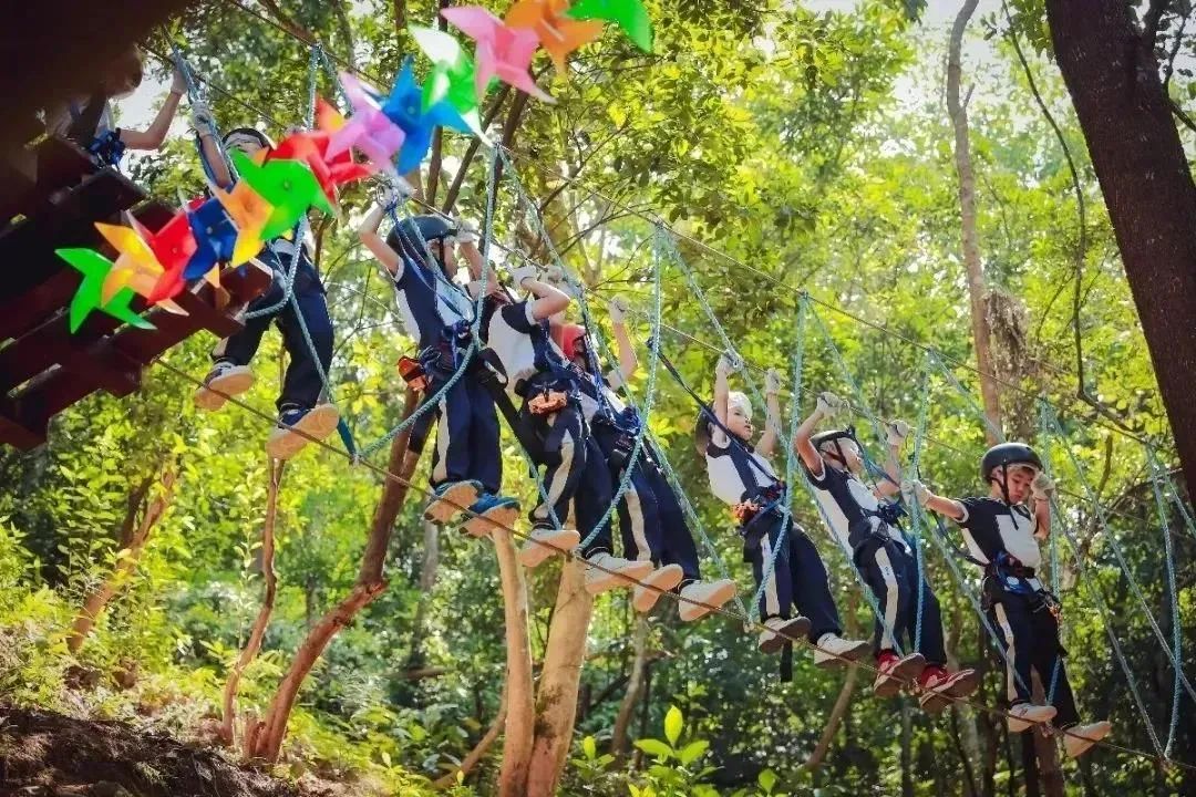 东莞耕山小寨！9.9/人秒杀！龙眼现摘免费吃，20+项特色游乐，350+亩户外农场撒欢，全家开启阳光之行！