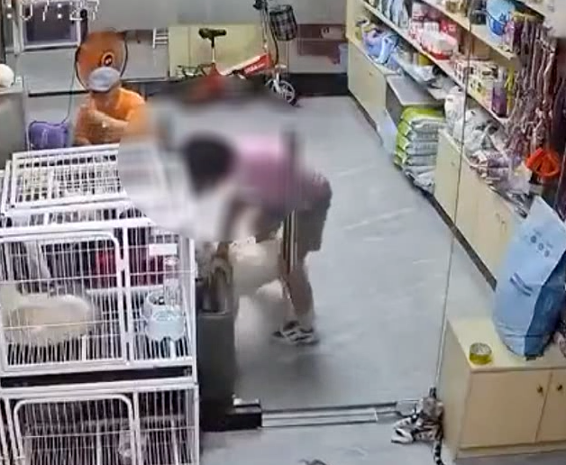 东莞有谁认识这个小女孩, 她要火了! 因为...