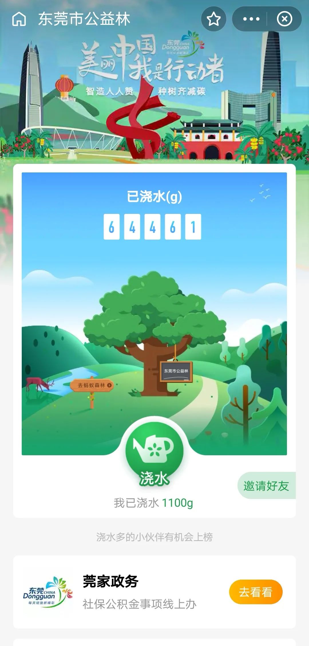 从今日起！在这里有专属东莞的一片林！