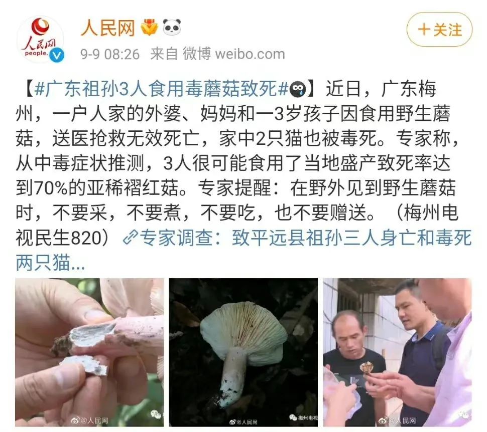 警惕！广东祖孙3人丧命，凶手又是它...
