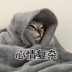 紧急通知！明天东莞人请提前1小时上班！