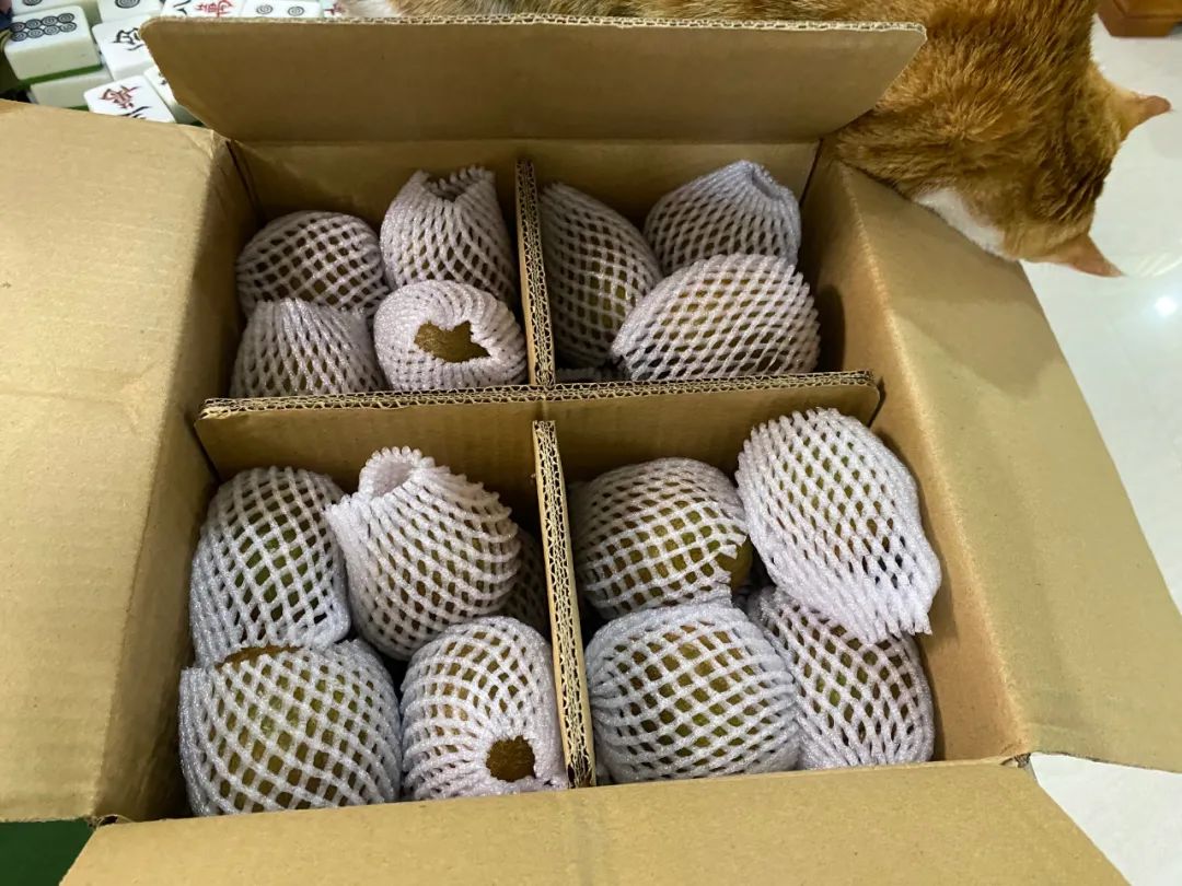 【全国顺丰包邮】中秋助力！超甜猕猴桃礼盒装来袭，好评如潮！陕西眉县果农自种猕猴桃，诚邀您的支持~