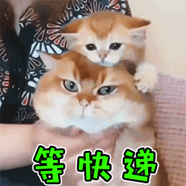 神马，快递小哥在东莞被抓了！