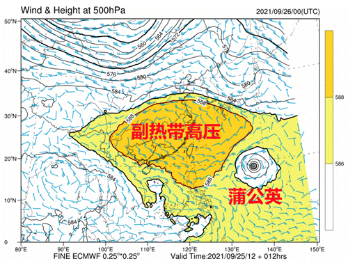 紧急提醒！台风“蒲公英”升级为超强台风！东莞接下来...