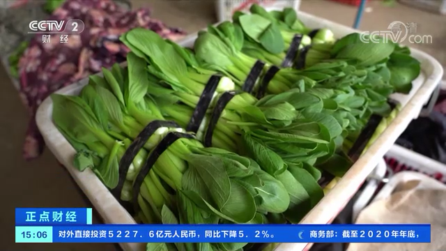 贵过猪肉! 东莞不少蔬菜身价翻倍! 街坊: 穷得只能吃肉...