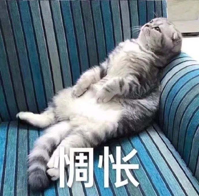 吓哭！东莞电费翻倍暴增，一天用电将近50元，你家电费涨了吗？