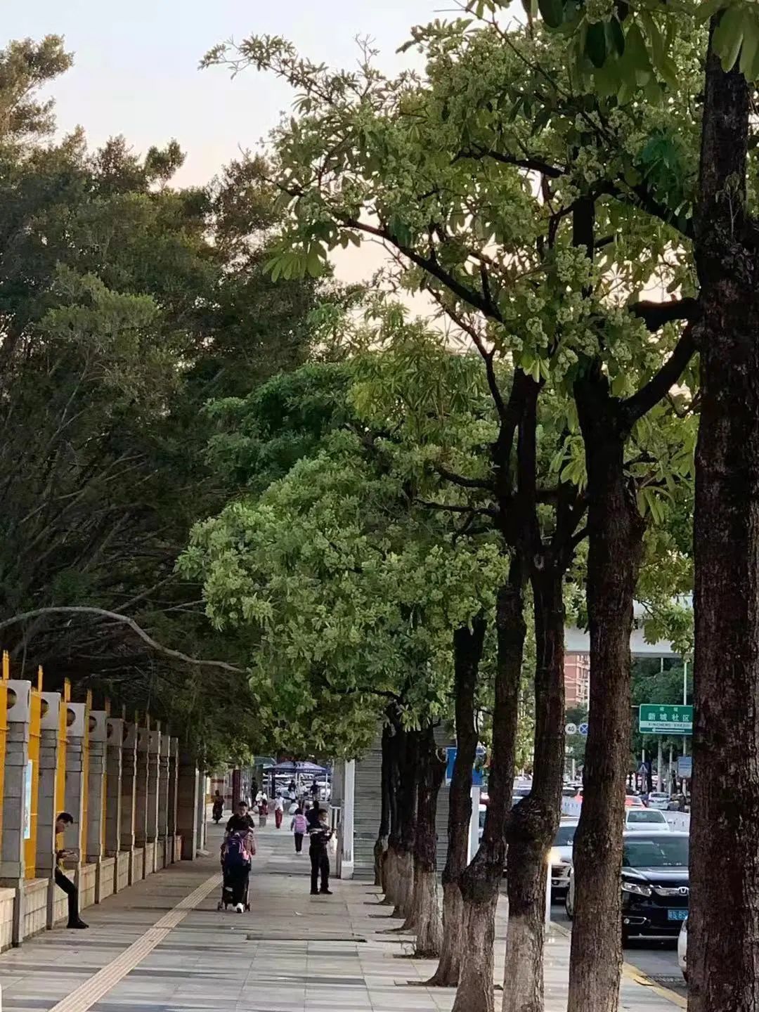 东莞多处飘来“恶臭”！市民担心：“会不会中毒”！城管回应来了…