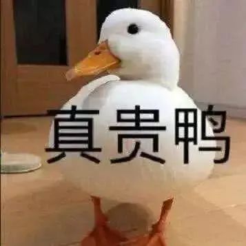 又涨了! 东莞166所学校调整学费! 排名前10的是......