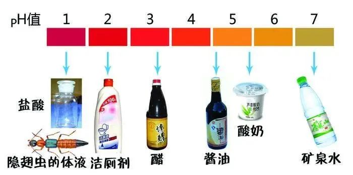 又是它！女子半夜关灯玩手机，差点致毁容！