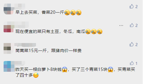 贵过猪肉! 东莞不少蔬菜身价翻倍! 街坊: 穷得只能吃肉...