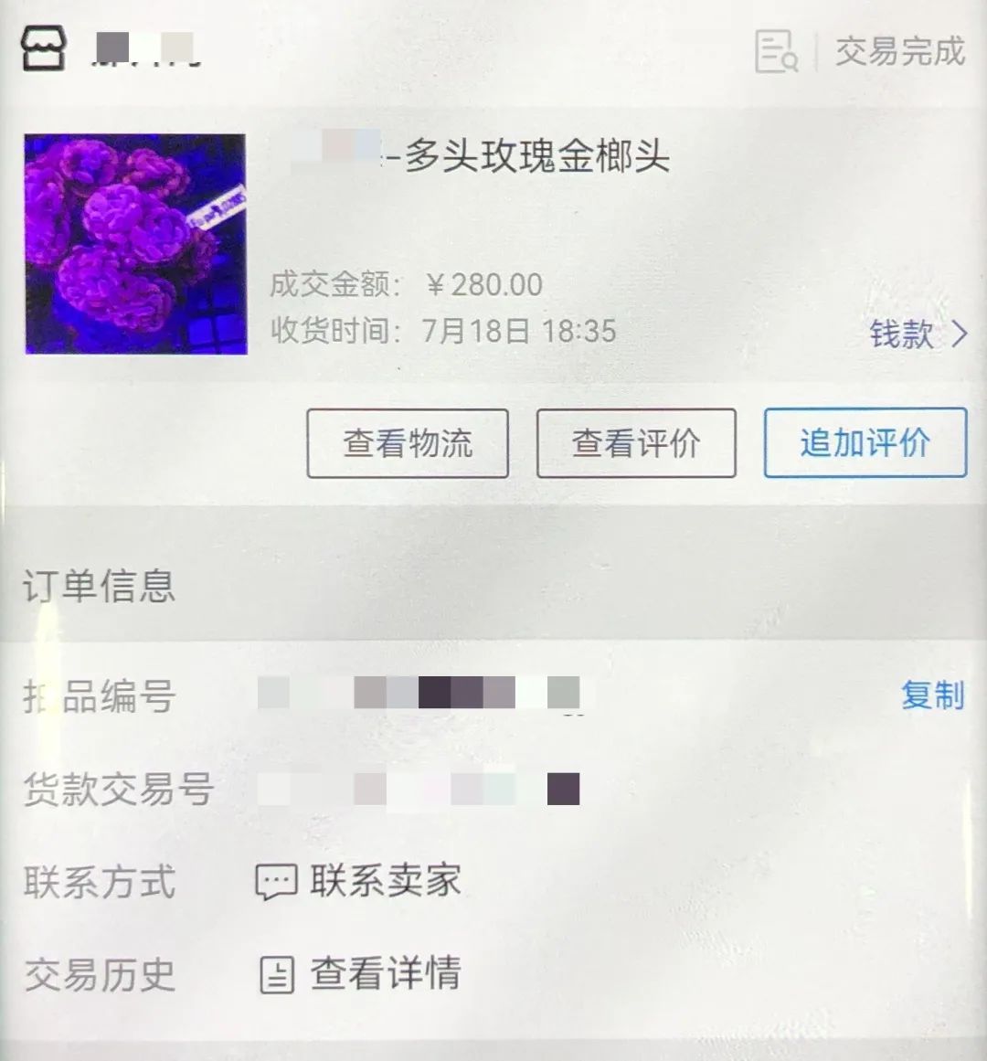 注意！这种乌龟不能养，东莞有人摊上事了！