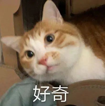 东莞多处飘来“恶臭”！市民担心：“会不会中毒”！城管回应来了…