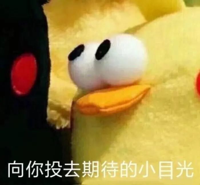 入秋失败！最高27℃！明天开始，东莞“重启短袖模式”