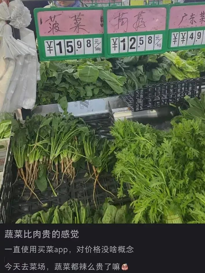 贵过猪肉! 东莞不少蔬菜身价翻倍! 街坊: 穷得只能吃肉...