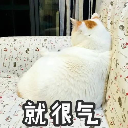 曝光！东莞多名车主竟"圈"地霸车位！