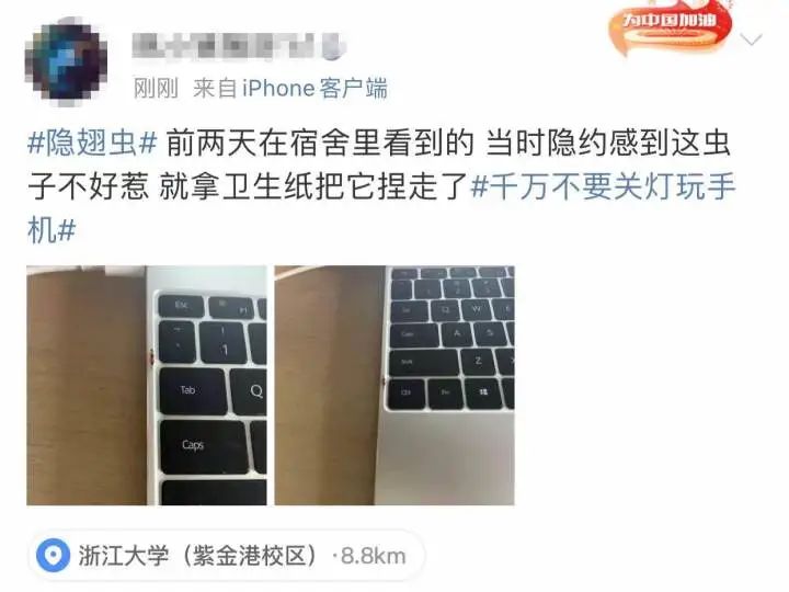 又是它！女子半夜关灯玩手机，差点致毁容！
