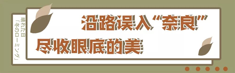 东莞人注意！“奈良の鹿，鹿岛乐园”空降大岭山镇客天下，上百种萌宠等你来打卡！！