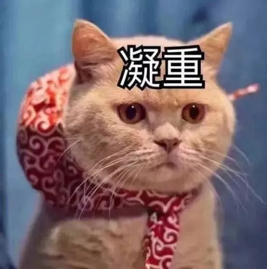 痛心! 12岁女儿目睹妈妈被撞身亡! 东莞街坊注意, 这9个字务必牢记!