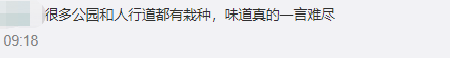 东莞多处飘来“恶臭”！市民担心：“会不会中毒”！城管回应来了…