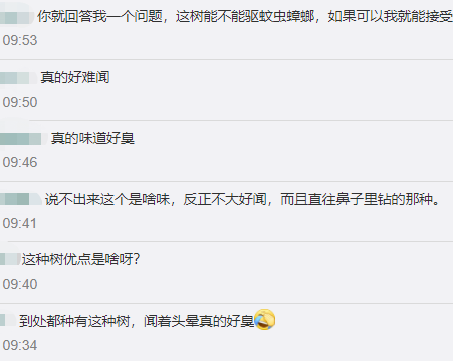 东莞多处飘来“恶臭”！市民担心：“会不会中毒”！城管回应来了…