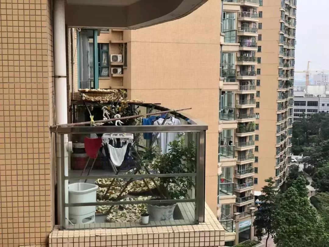 东莞zui壕婚礼曝光！新娘带20箩筐陈皮做嫁妆，价值超10万元……