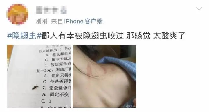 又是它！女子半夜关灯玩手机，差点致毁容！