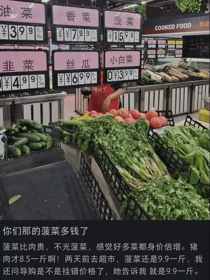 贵过猪肉! 东莞不少蔬菜身价翻倍! 街坊: 穷得只能吃肉...