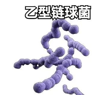 致命病菌暴发，一地79人感染7人死亡！@东莞注意了！