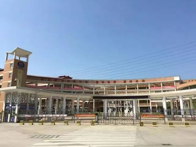 教育部官宣！国家级！东莞这些学校，你们要火了！！！