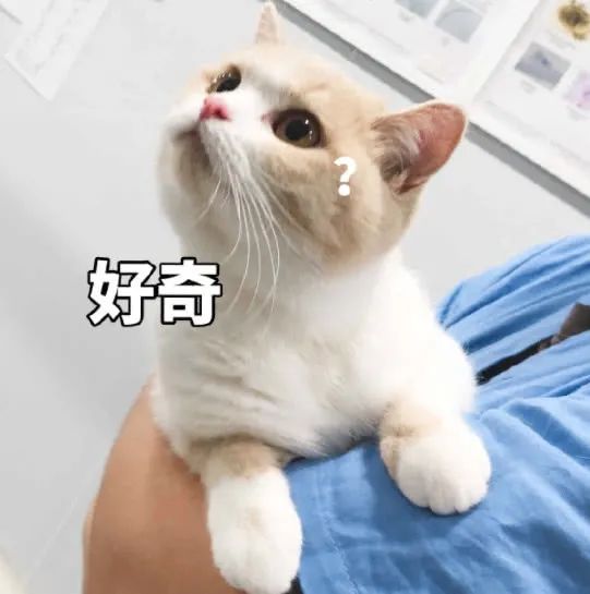 怎么回事？东莞多处街头电箱一夜大变样！看看有没有你家附近的