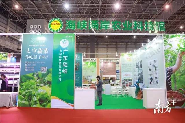 @所有人，请收好这份2021东莞台博会最强攻略！