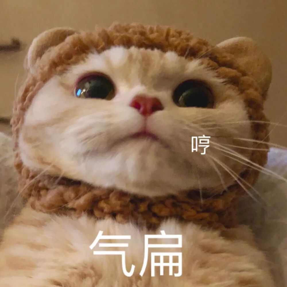 东莞一公司“火”了！员工业绩没达标要体罚！拒绝立马辞退！