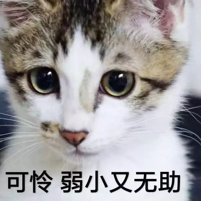 下半年最强寒潮即将杀到！明天起东莞气温会一直降！大家挺住！
