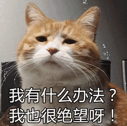 下半年最强寒潮即将杀到！明天起东莞气温会一直降！大家挺住！