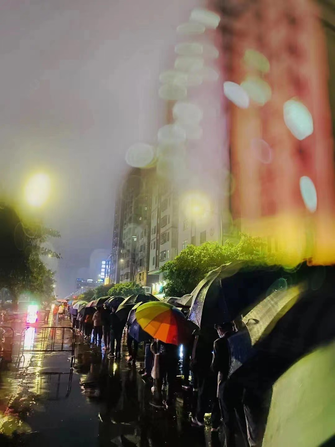 冬至“冷魔法”！东莞人看到雨中一幕，眼眶突然红了...