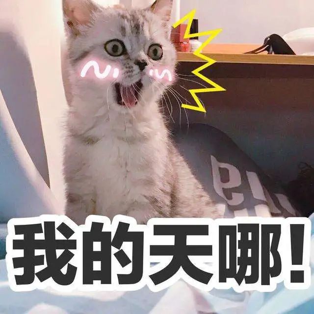 东莞购买住宅无需社保？限购开放？到底怎么回事？