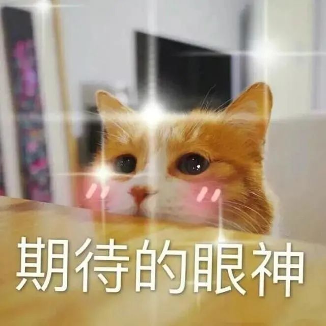 重大调整！广东新增10天假！