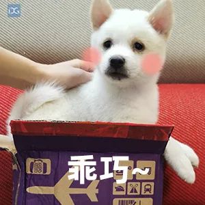 东莞已有83.44万人打了第三针！你打了吗？