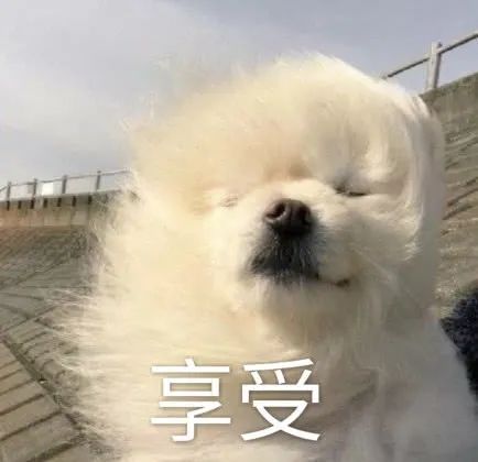 台风+今年"最强"冷空气夜袭！还有更恐怖的是...