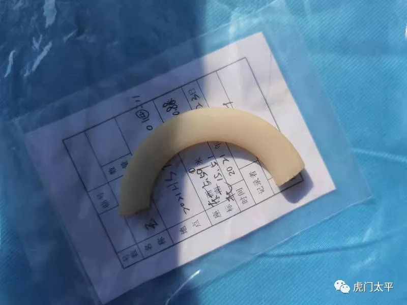 东莞首个！虎门发现一处新石器时代末至商时期沙丘遗址……