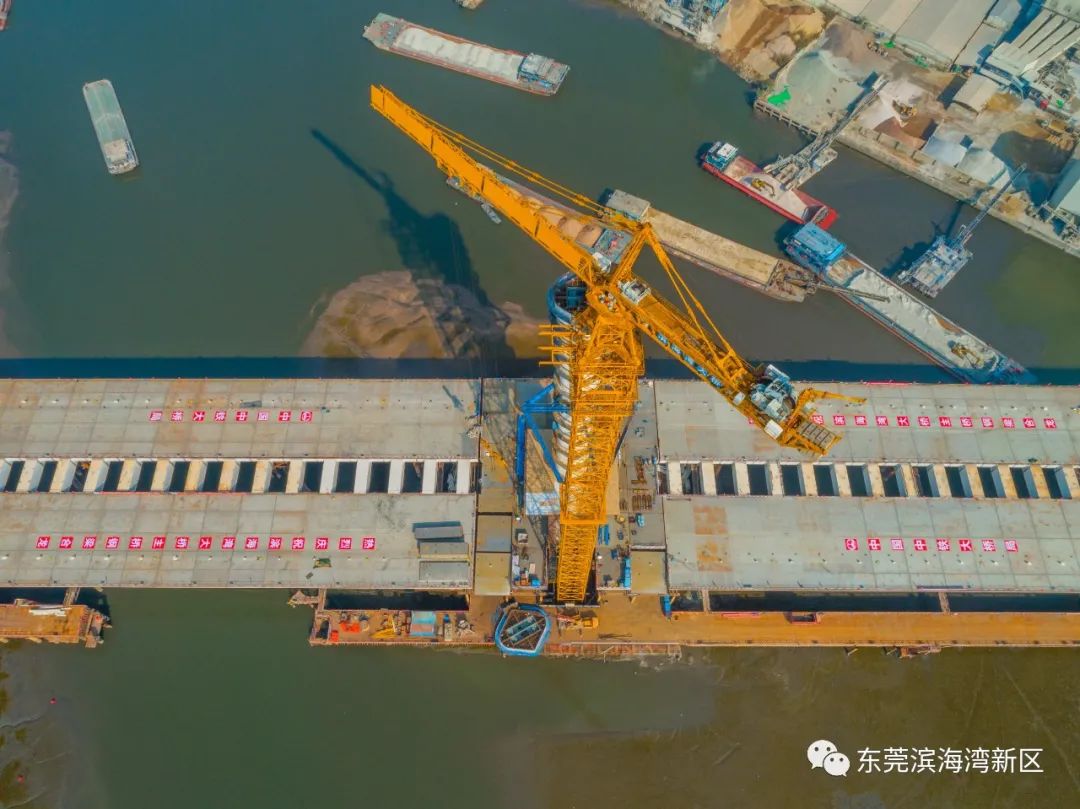 “丝路玉兰”来啦！东莞这座地标大桥预计4月试通车！