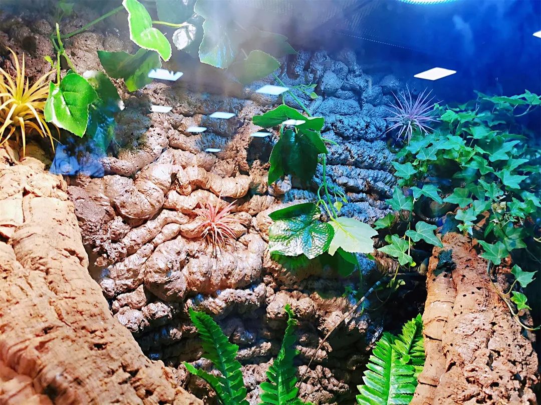 假期攻略已上线！门票19.9起玩转东莞景区！飞鸭开心农场、隐贤山庄、雨林探秘，空气湃...