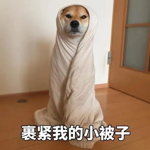 @东莞人，今年第一波冷空气要来了！最低到12度！
