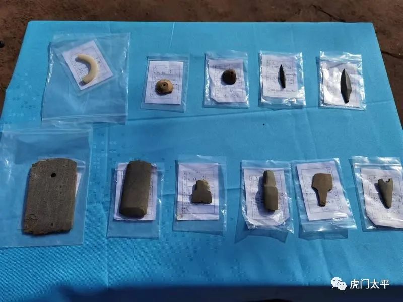 东莞首个！虎门发现一处新石器时代末至商时期沙丘遗址……